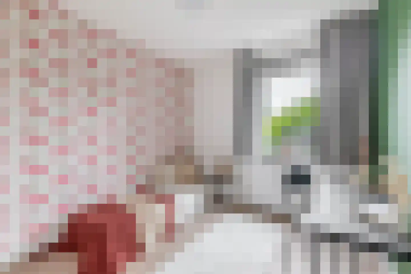 Havenstraat 21 Stein thumbnail 21