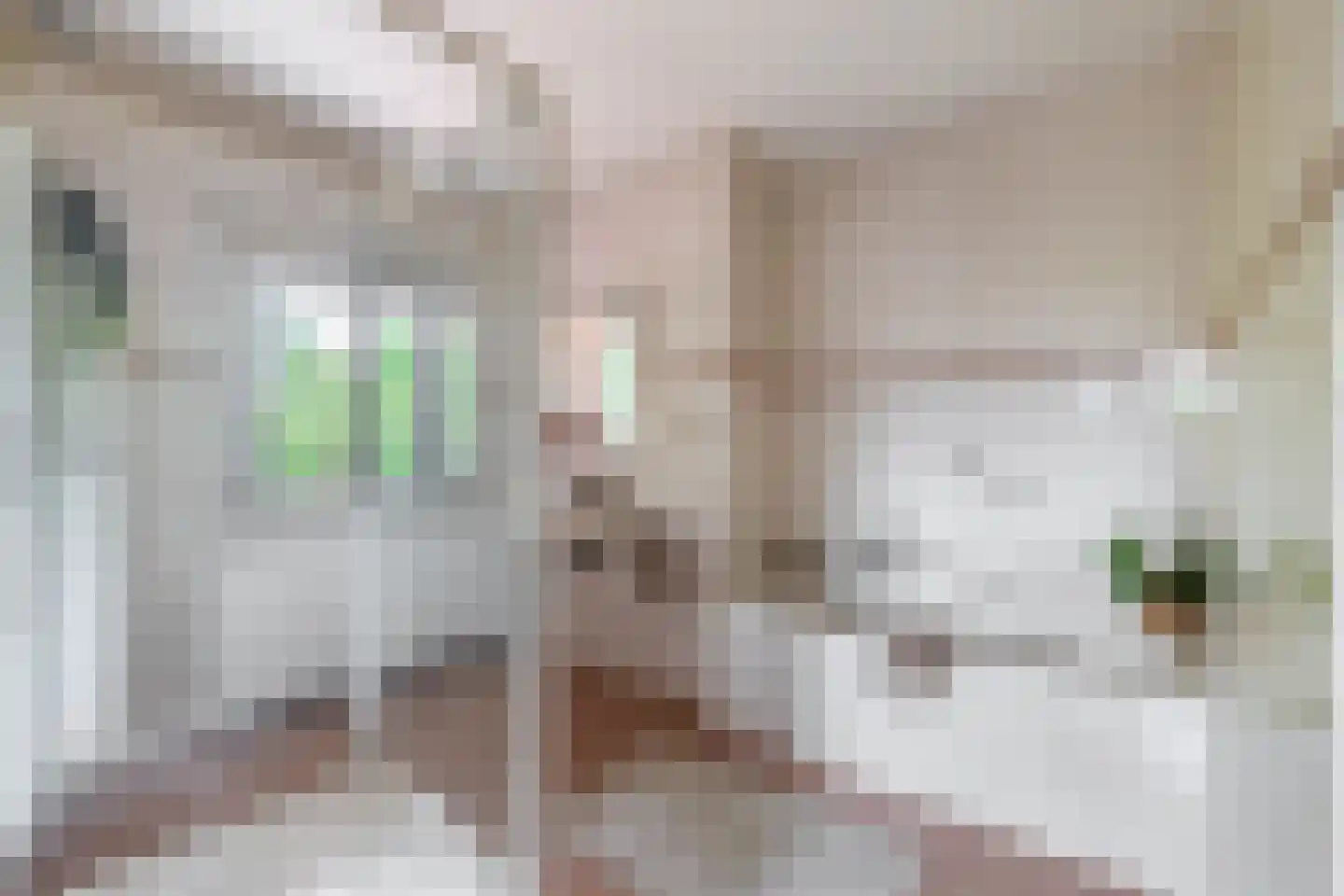 Havenstraat 21 Stein thumbnail 22