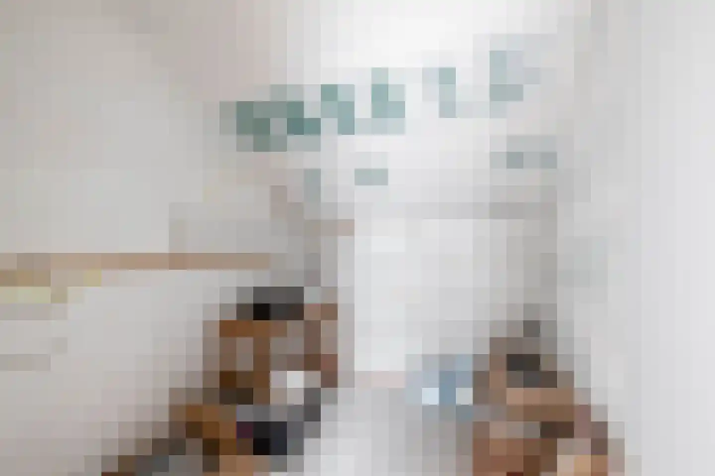 Havenstraat 21 Stein thumbnail 30