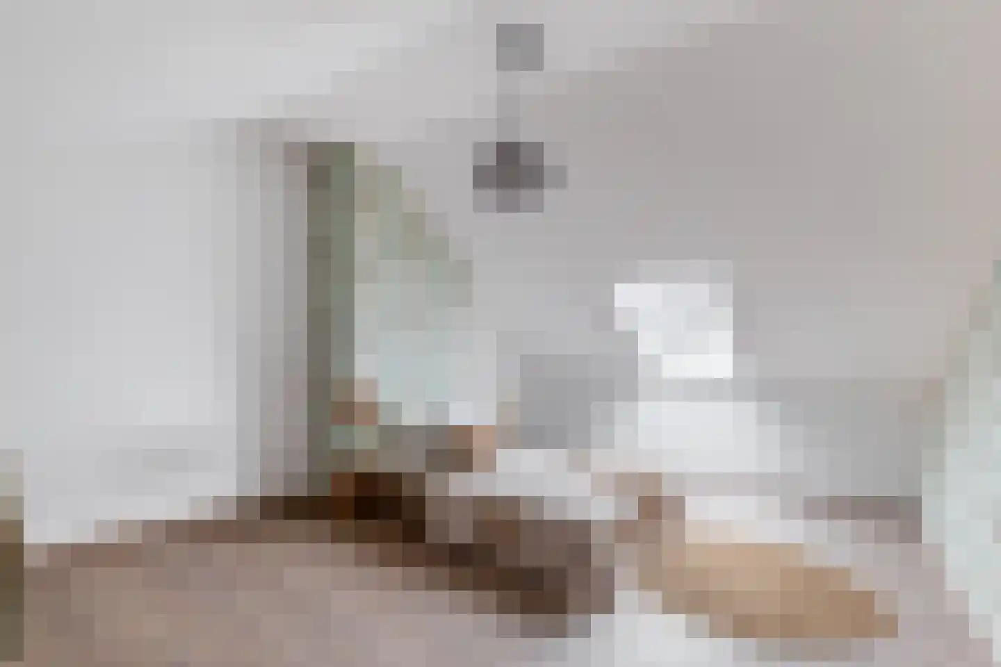 Havenstraat 21 Stein thumbnail 31