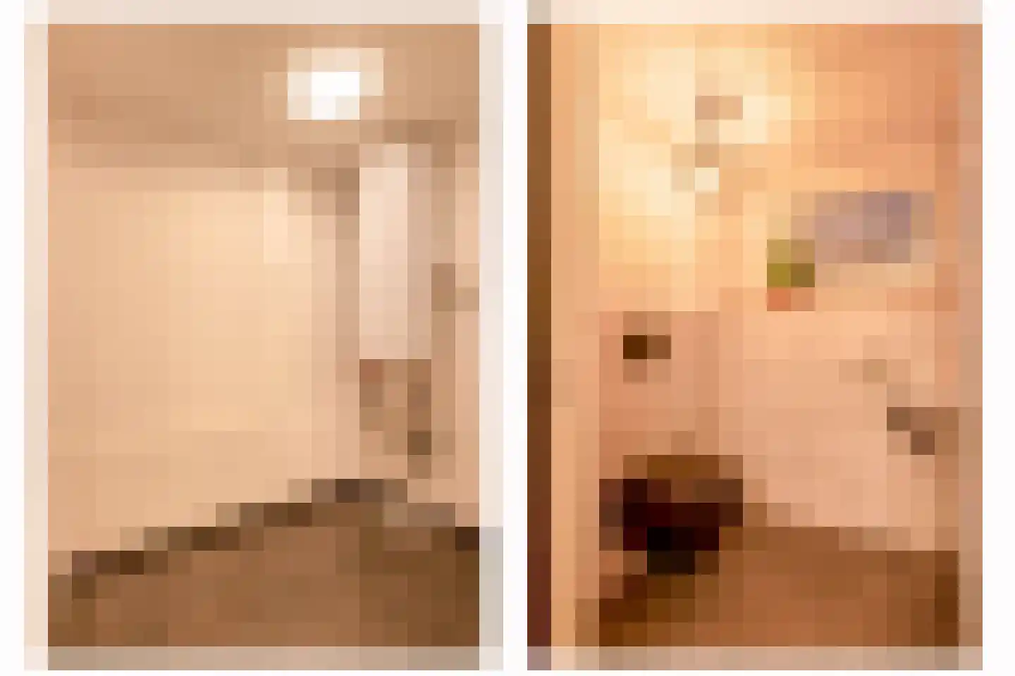 Havenstraat 21 Stein thumbnail 33