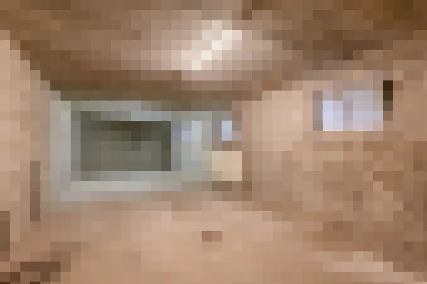 Havenstraat 21 Stein thumbnail 40