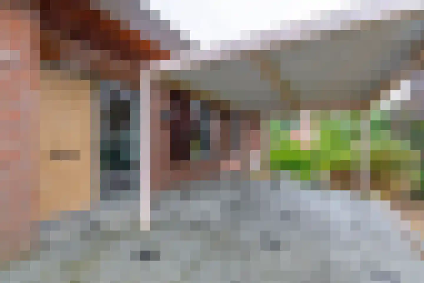Havenstraat 21 Stein thumbnail 42