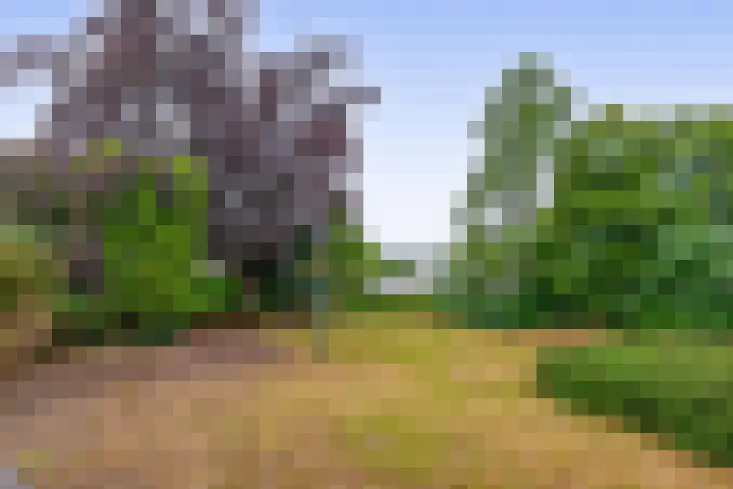 Havenstraat 21 Stein thumbnail 45