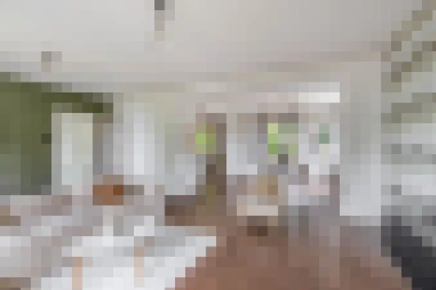 Havenstraat 21 Stein thumbnail 7