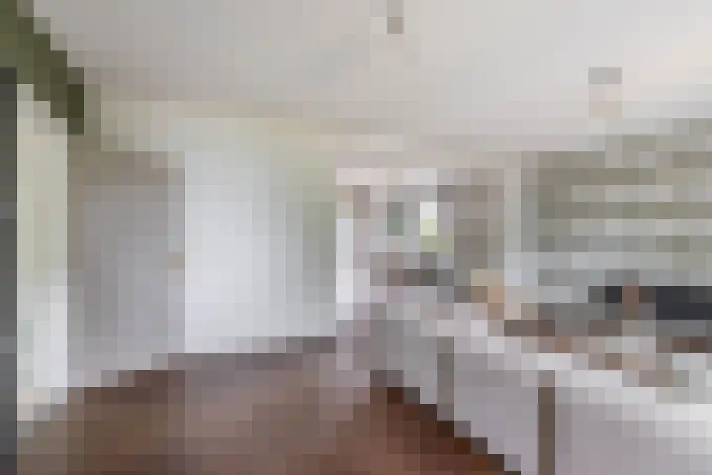 Havenstraat 21 Stein thumbnail 9