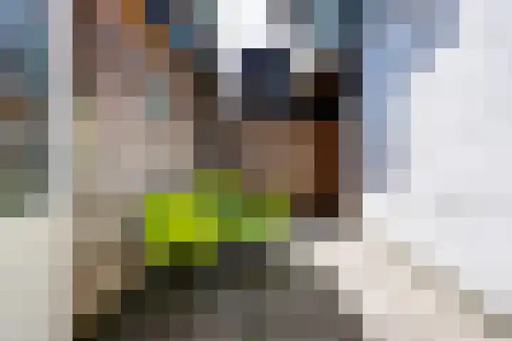 Havenstraat 22 Colijnsplaat thumbnail 13