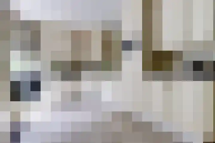 Havenstraat 22 Colijnsplaat thumbnail 9