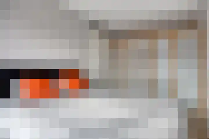 Havenstraat 22 Tuil thumbnail 15