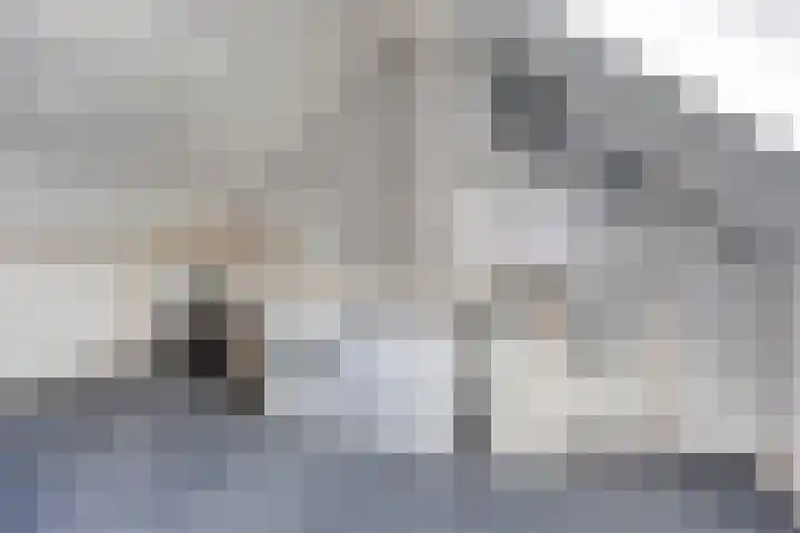 Havenstraat 22 Tuil thumbnail 23