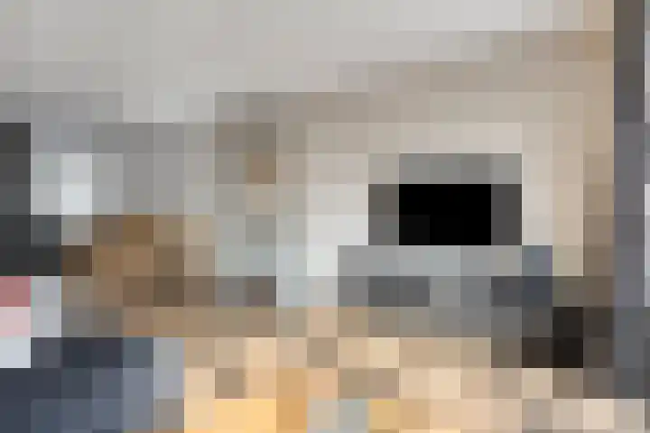 Havenstraat 22 Tuil thumbnail 7