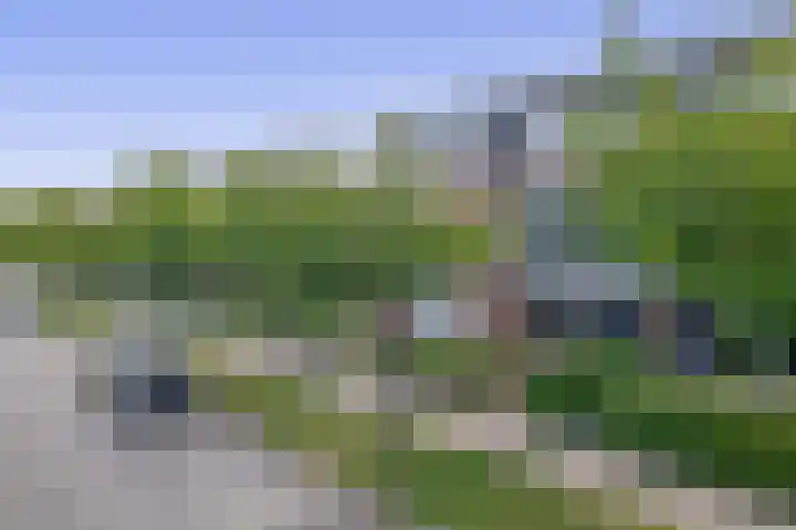 Havenstraat 23 Berkel en Rodenrijs thumbnail 5