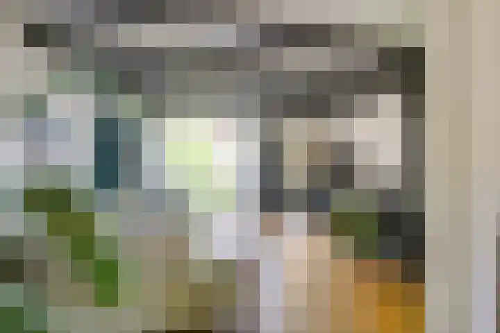 Havenstraat 24 Monster thumbnail 10