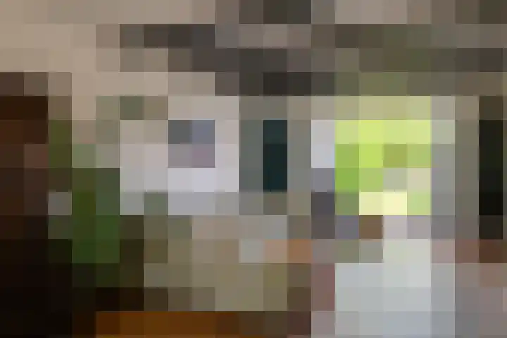 Havenstraat 24 Monster thumbnail 11