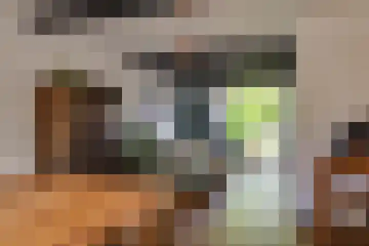 Havenstraat 24 Monster thumbnail 12