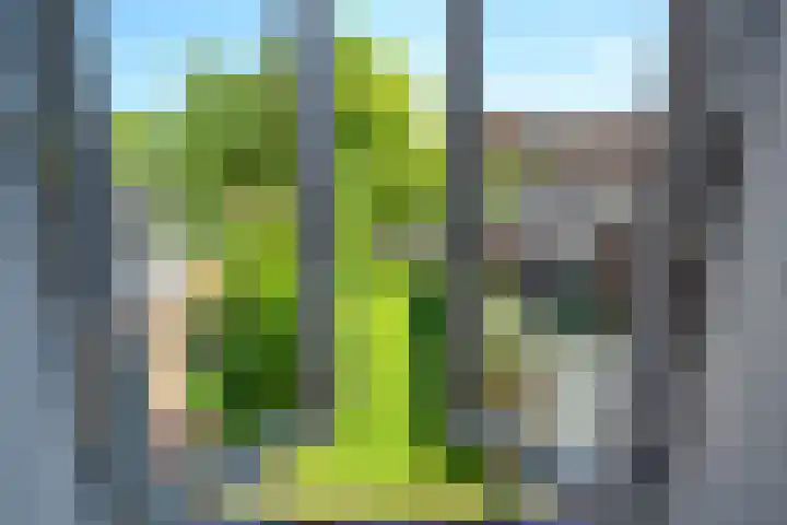 Havenstraat 24 Monster thumbnail 21