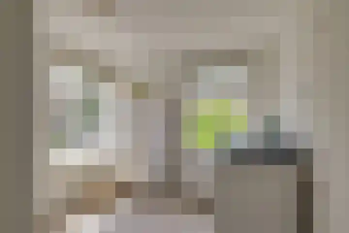 Havenstraat 24 Monster thumbnail 27