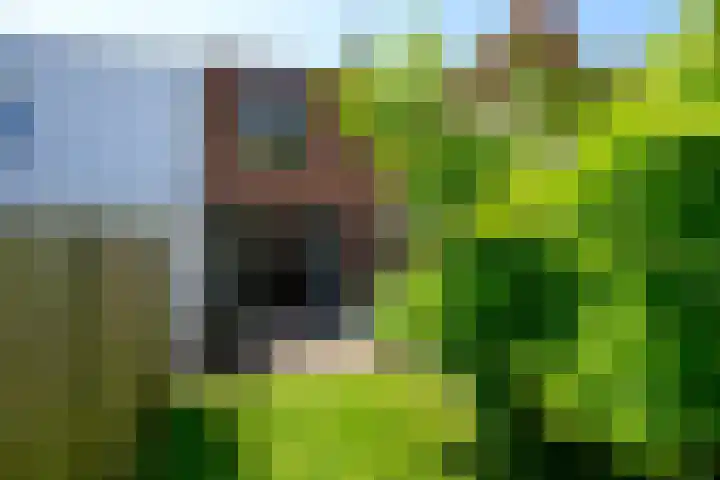 Havenstraat 24 Monster thumbnail 29