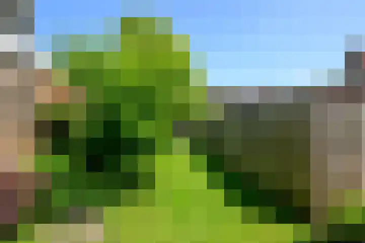 Havenstraat 24 Monster thumbnail 30