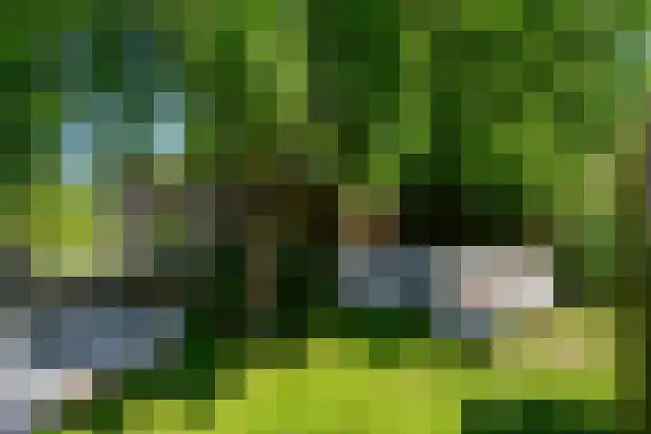 Havenstraat 24 Monster thumbnail 31