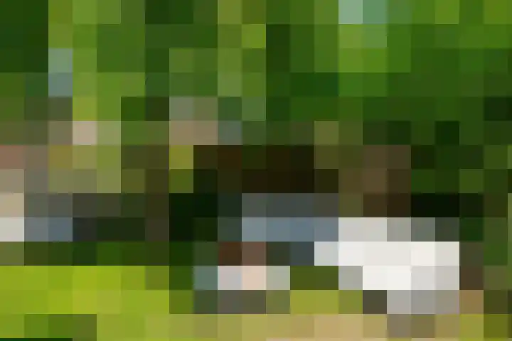 Havenstraat 24 Monster thumbnail 32