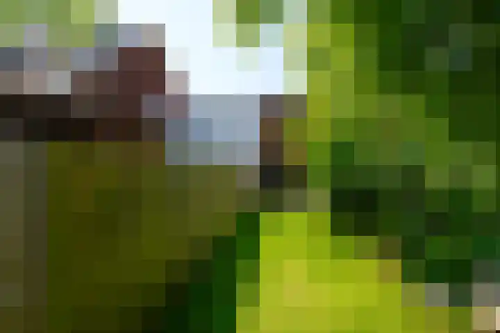 Havenstraat 24 Monster thumbnail 33