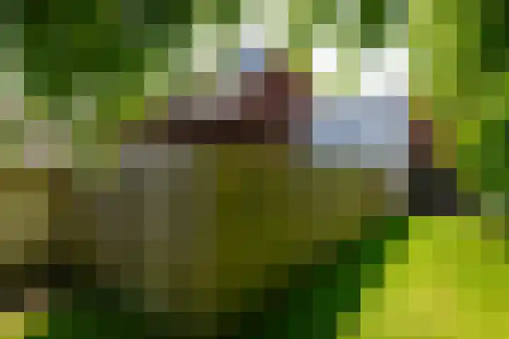 Havenstraat 24 Monster thumbnail 34