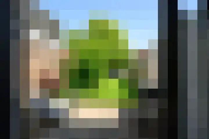 Havenstraat 24 Monster thumbnail 6