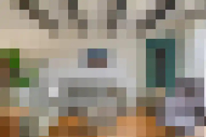Havenstraat 24 Monster thumbnail 8