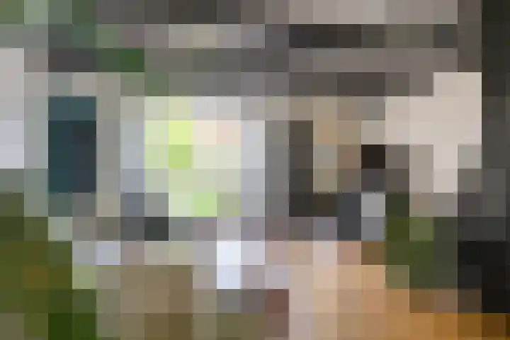 Havenstraat 24 Monster thumbnail 9