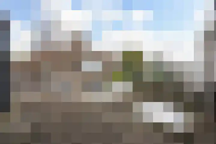 Havenstraat 24 Naaldwijk thumbnail 31