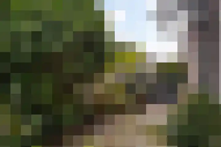 Havenstraat 24 Naaldwijk thumbnail 45