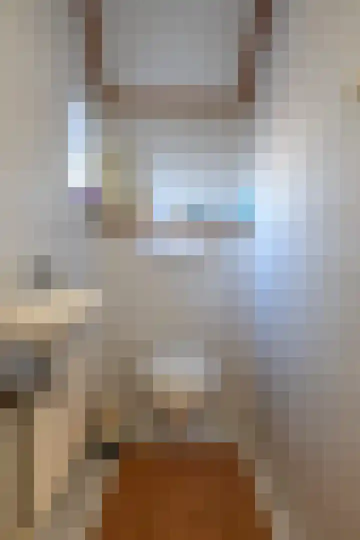Havenstraat 24 Niekerk thumbnail 18