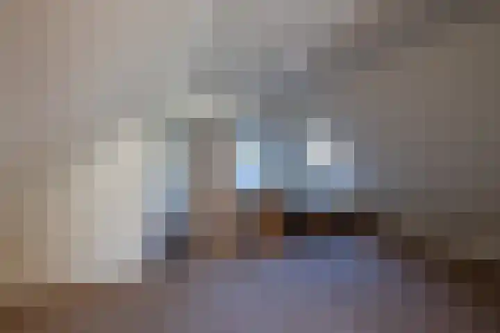 Havenstraat 24 Niekerk thumbnail 23
