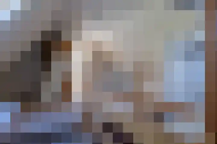 Havenstraat 24 Niekerk thumbnail 25