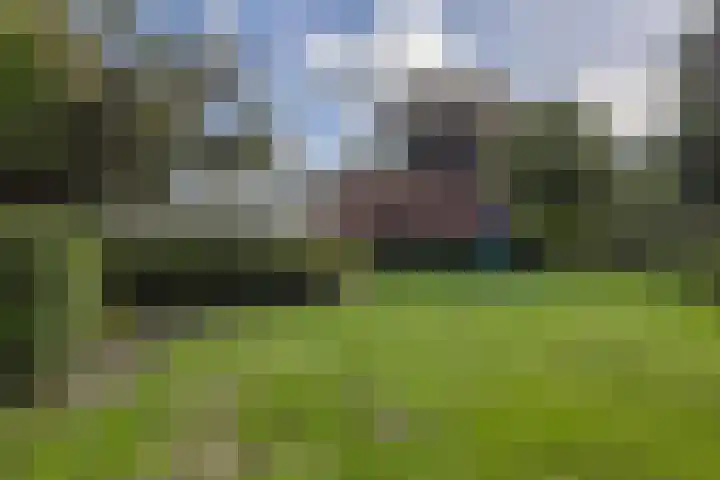 Havenstraat 24 Niekerk thumbnail 36