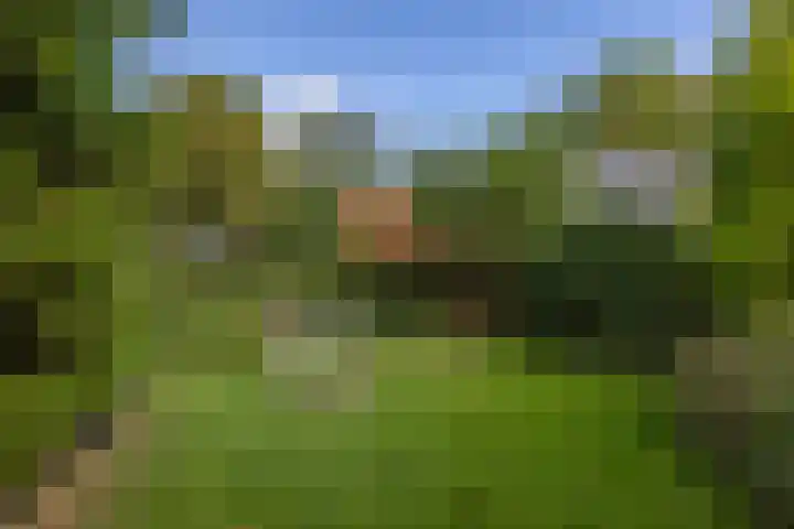 Havenstraat 24 Niekerk thumbnail 38