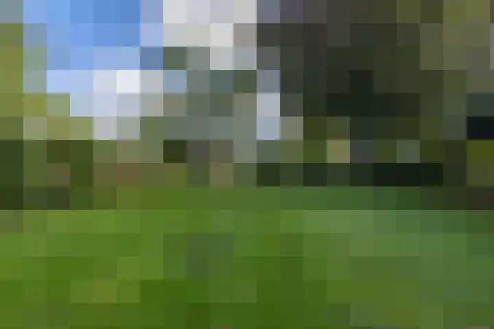 Havenstraat 24 Niekerk thumbnail 39