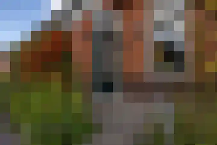 Havenstraat 24 Niekerk thumbnail 6