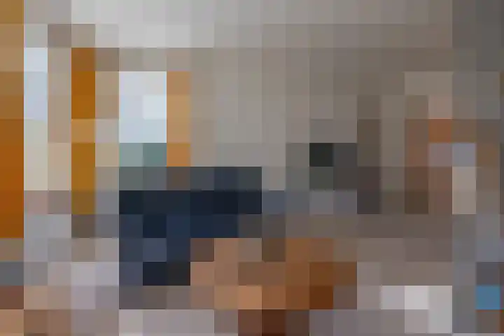 Havenstraat 24 Niekerk thumbnail 9