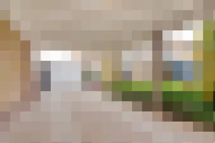 Havenstraat 25 Nijkerk thumbnail 46