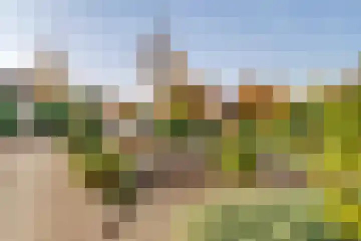 Havenstraat 25 Nijkerk thumbnail 50