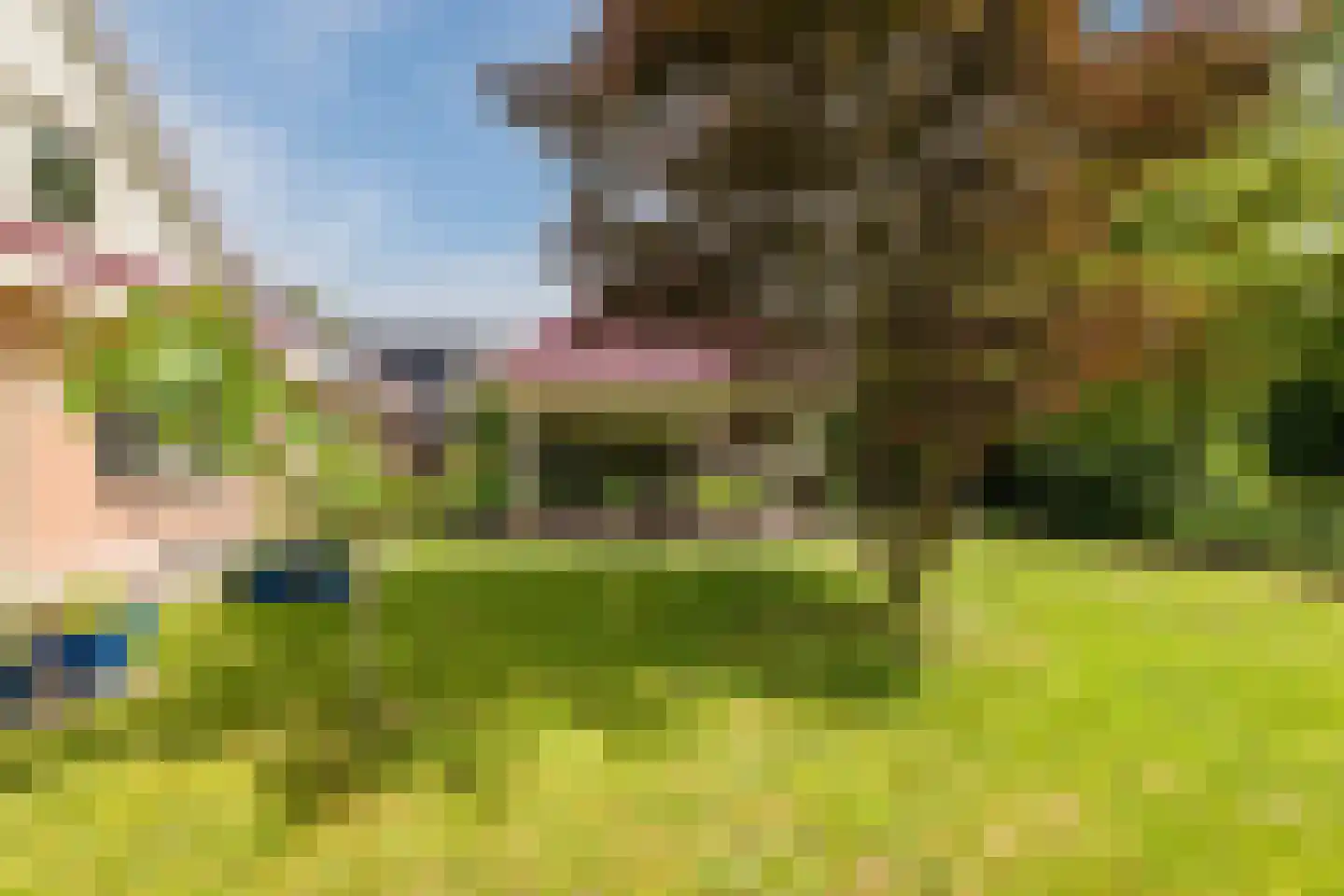 Havenstraat 25 Noordbroek thumbnail 46