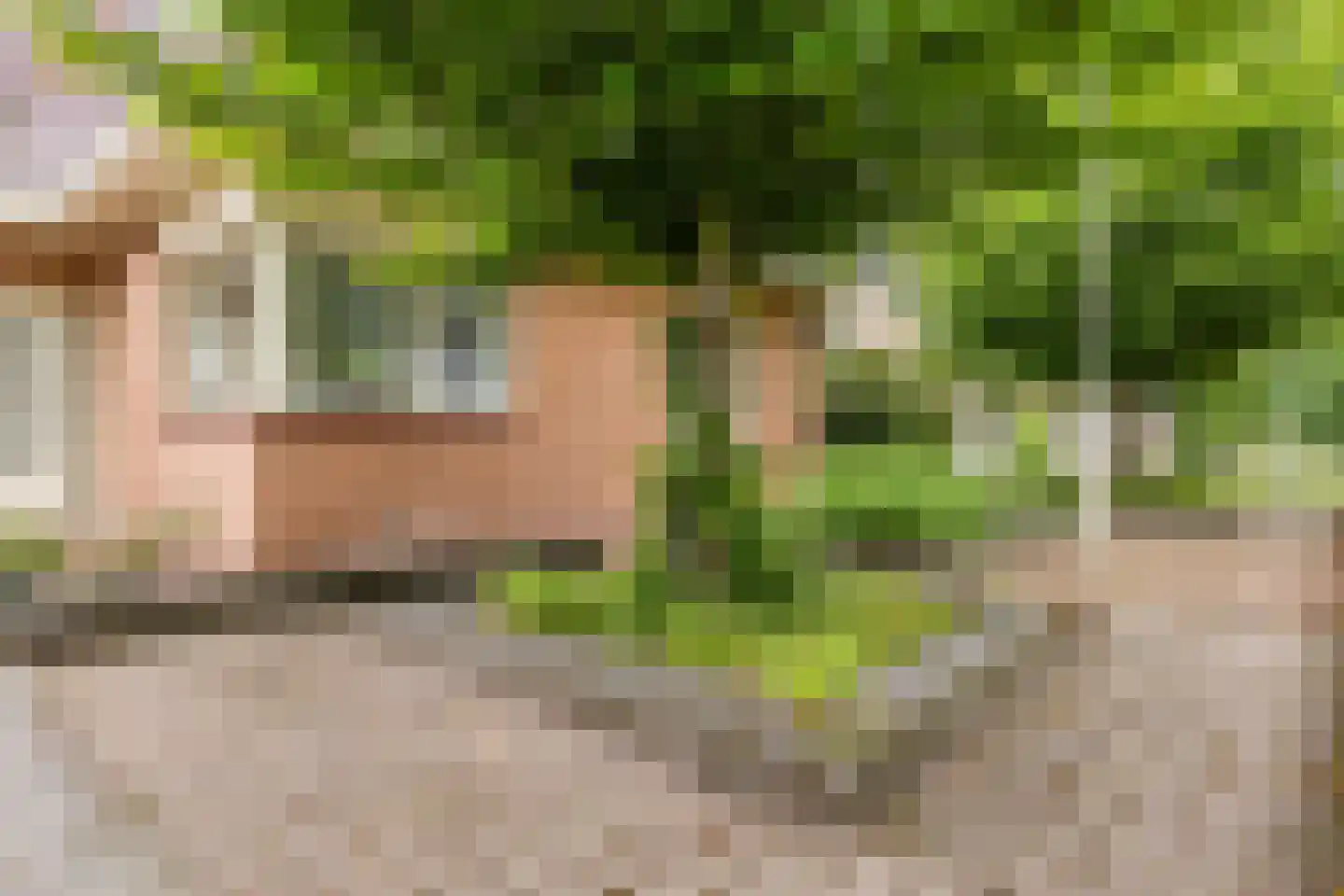 Havenstraat 25 Noordbroek thumbnail 8