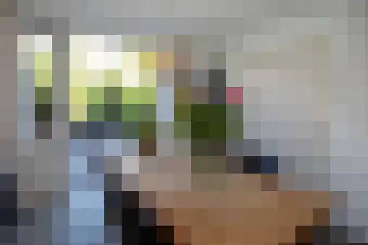 Havenstraat 25 Woerden thumbnail 20