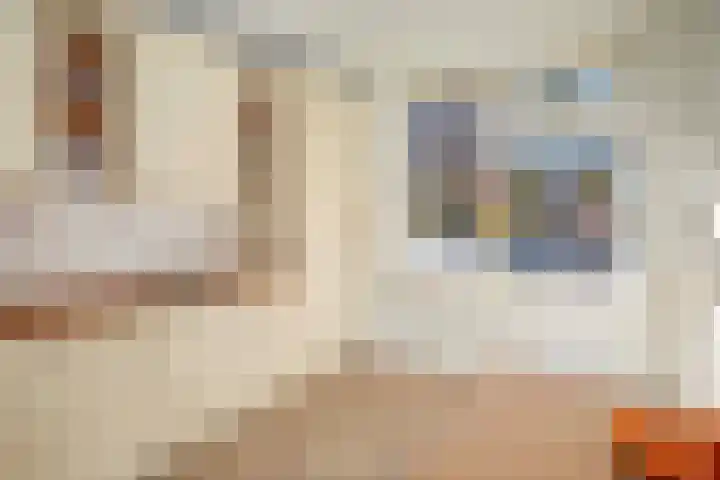 Havenstraat 25 Woerden thumbnail 24
