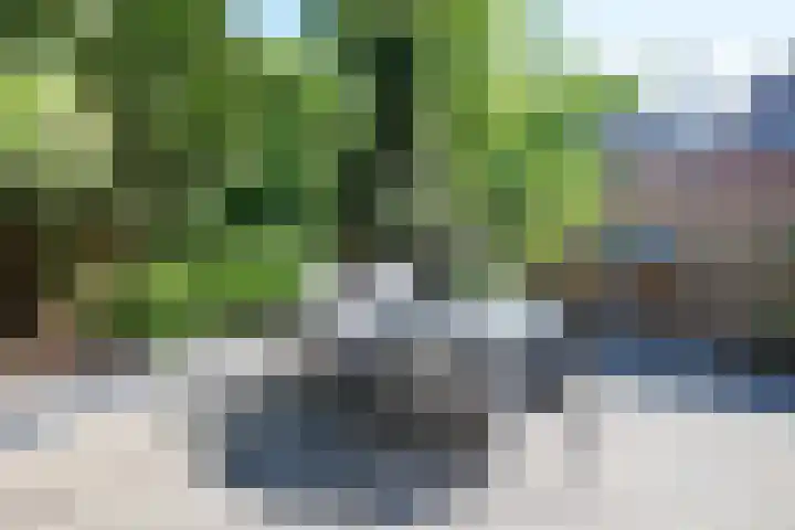 Havenstraat 25 Woerden thumbnail 38