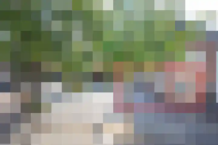 Havenstraat 25 Woerden thumbnail 4