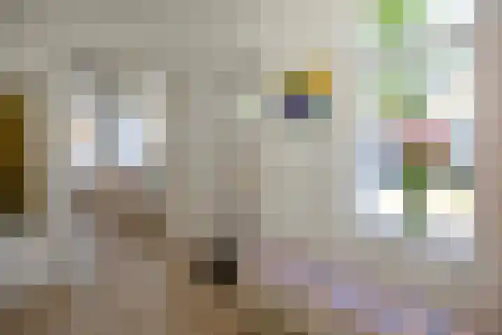 Havenstraat 25 Woerden thumbnail 9