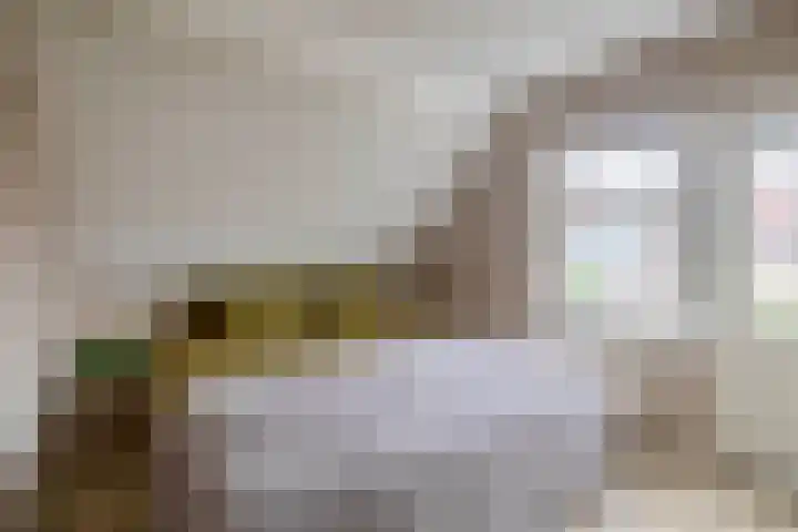 Havenstraat 27 Schoonhoven thumbnail 23